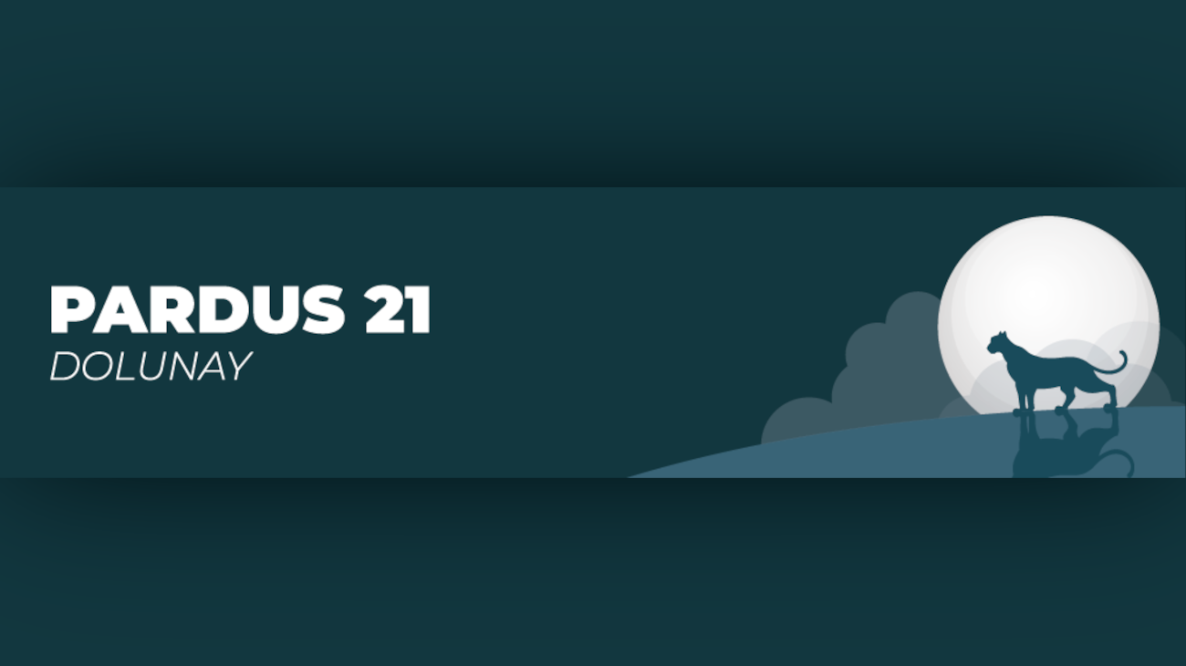 What awaits Users in Pardus 21 Version?