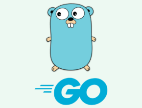 Go Serie 1 – Einrichtung der Pardus Go-Programmiersprache