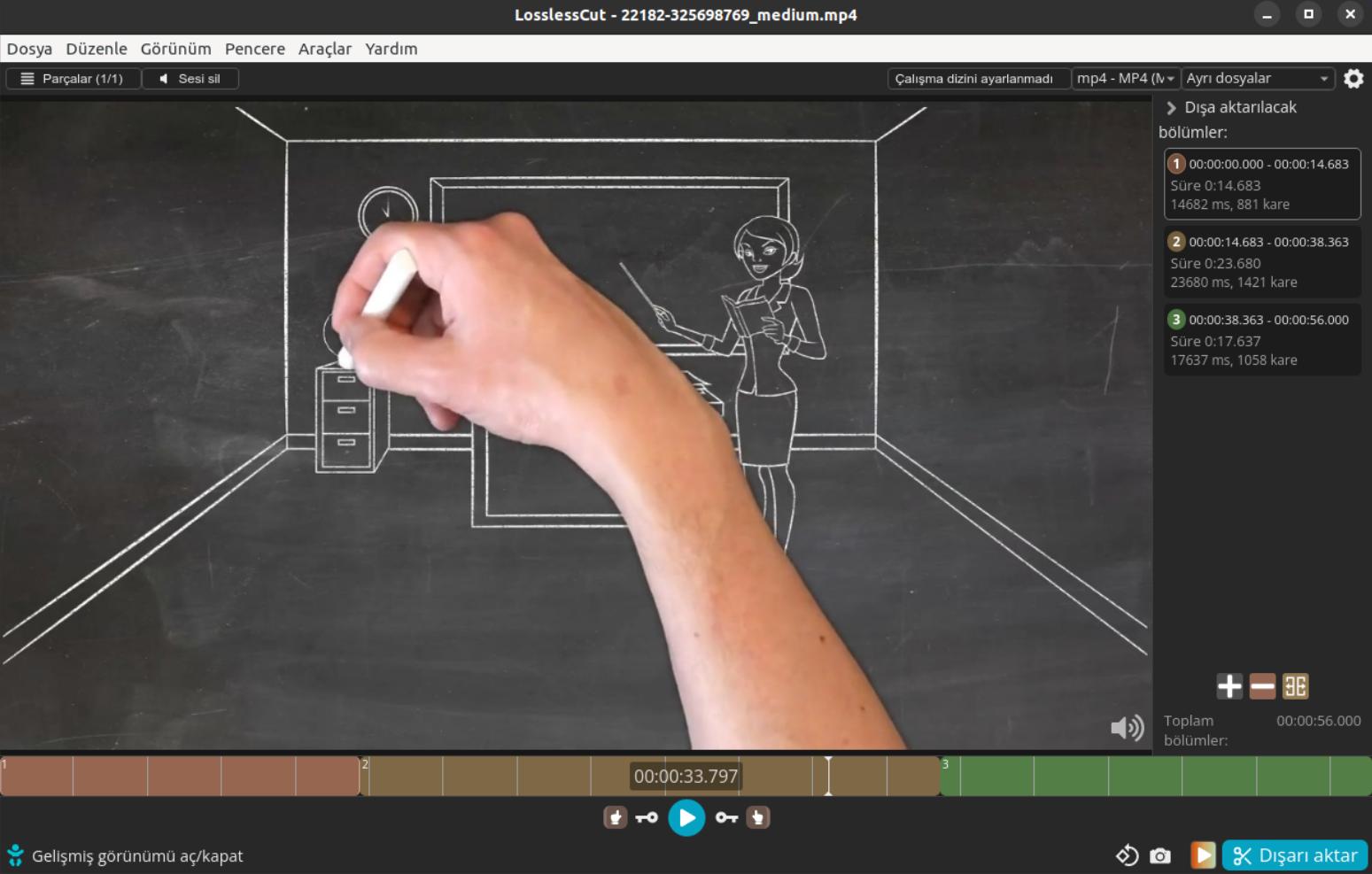 LosslessCut Uygulaması Ekran Görüntüsü