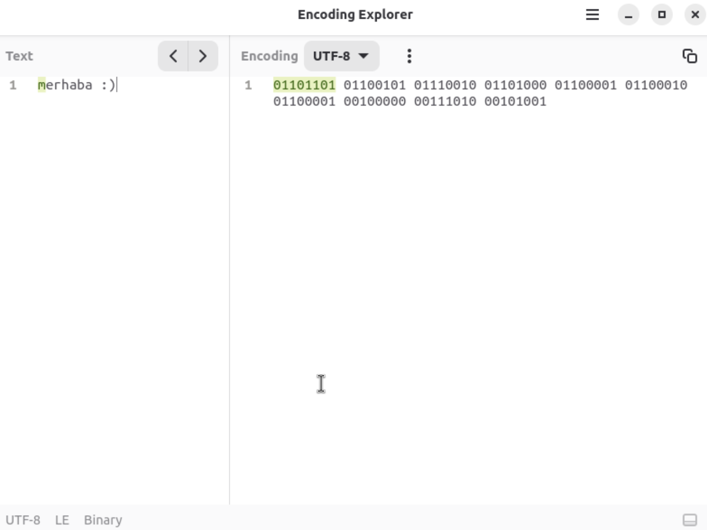 Encoding Explorer uygulaması ekran görüntüsü