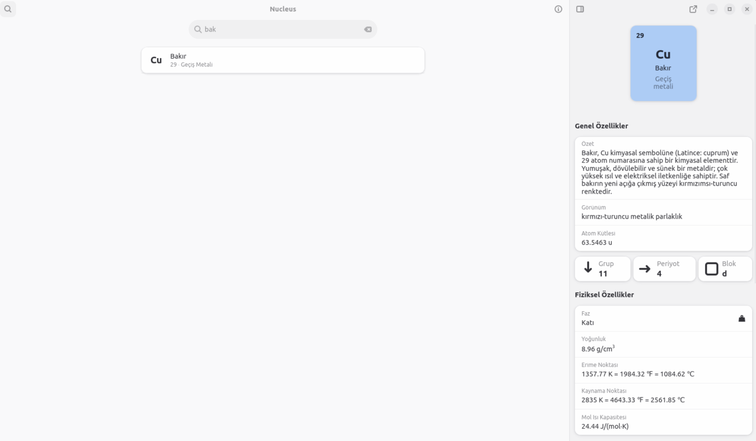 Nucleus uygulaması ekran görüntüsü