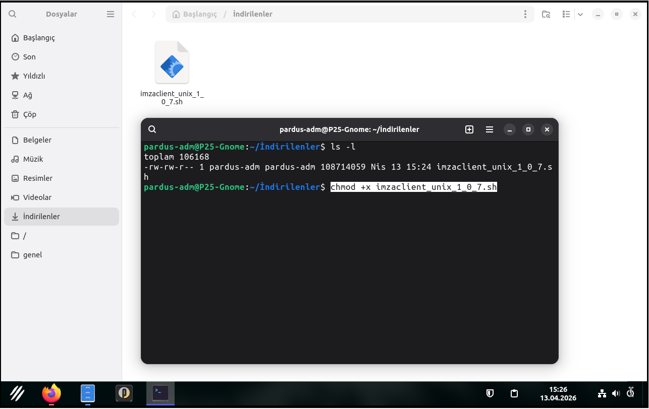 script chmod
