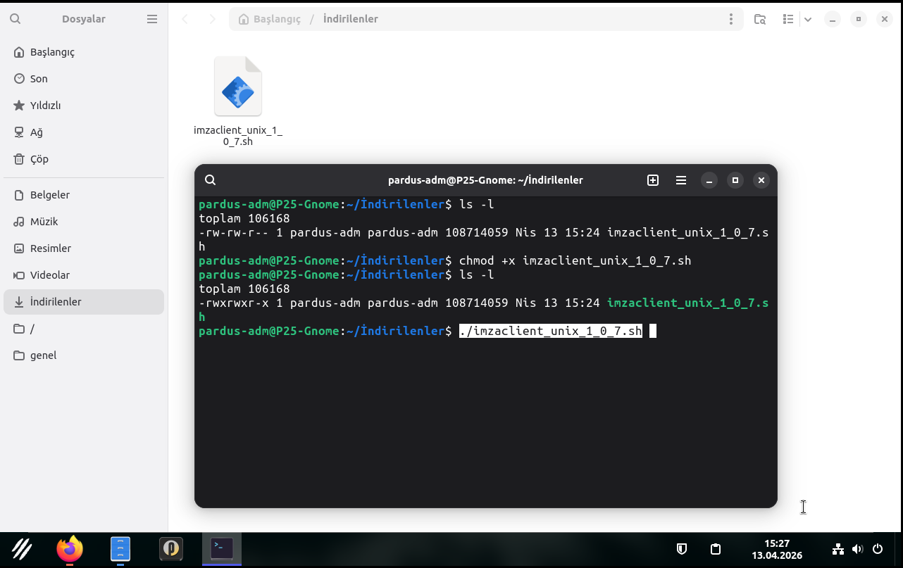 run script