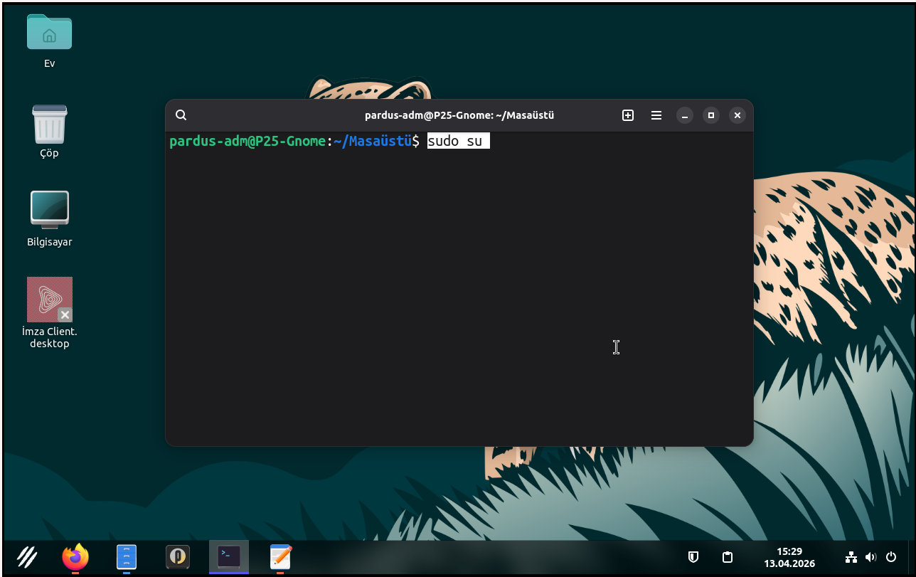 switch root