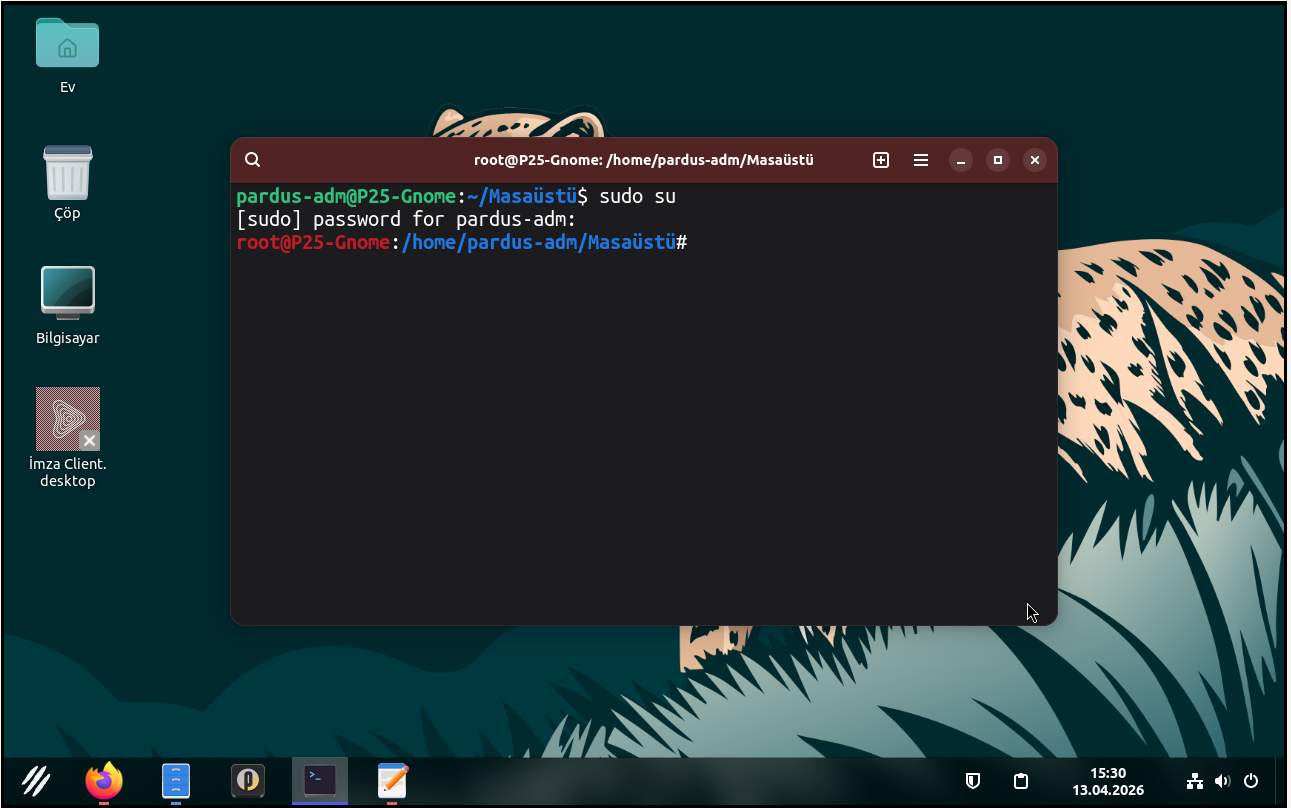 switching root